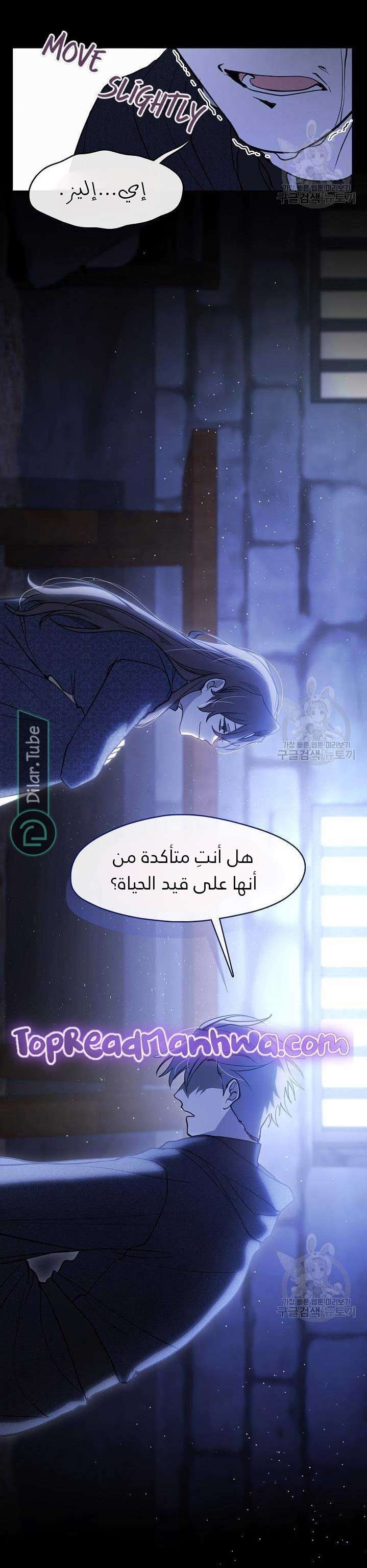 الصفحة 13