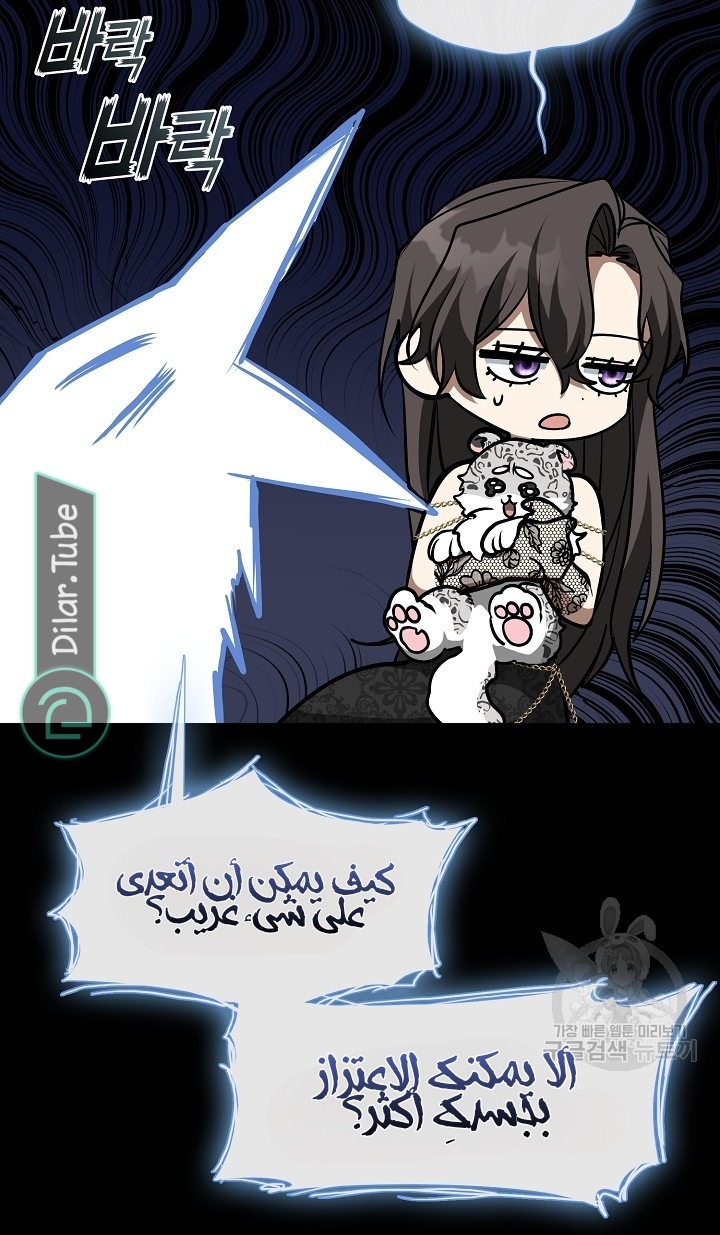 الصفحة 41