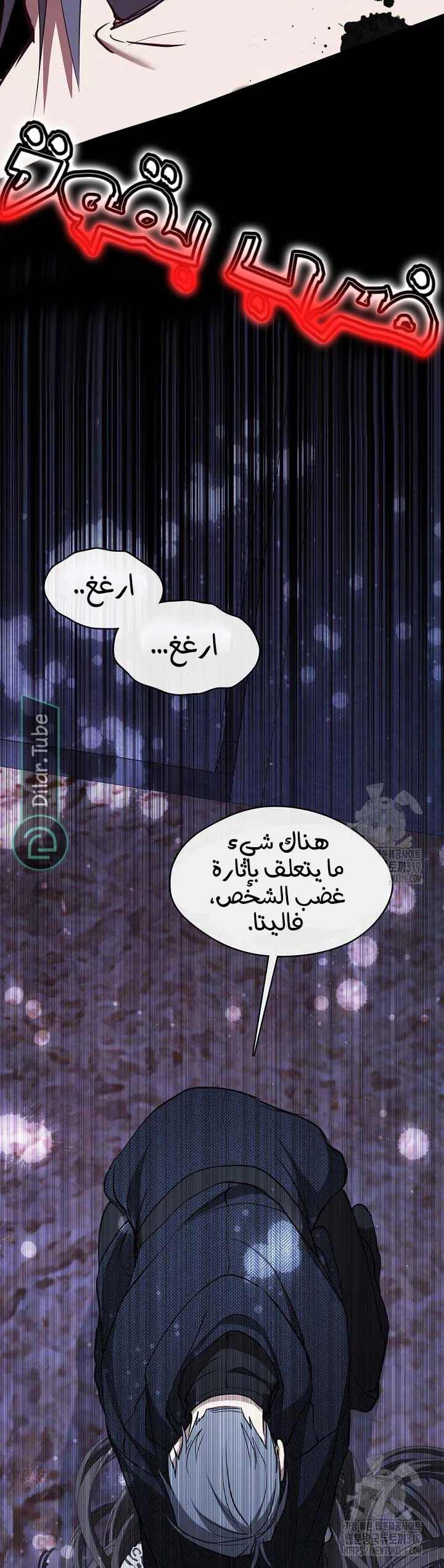 الصفحة 17
