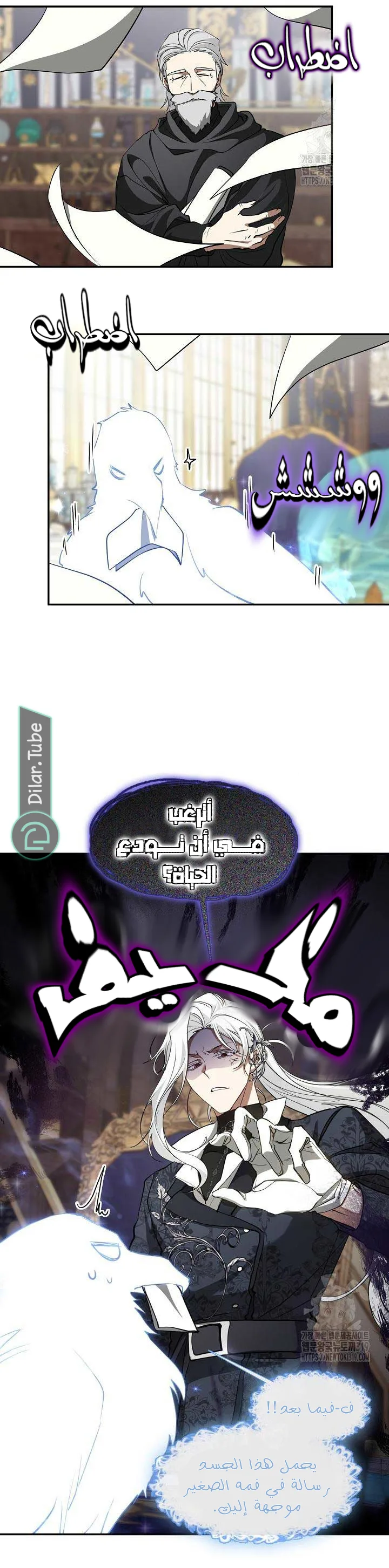 الصفحة 8