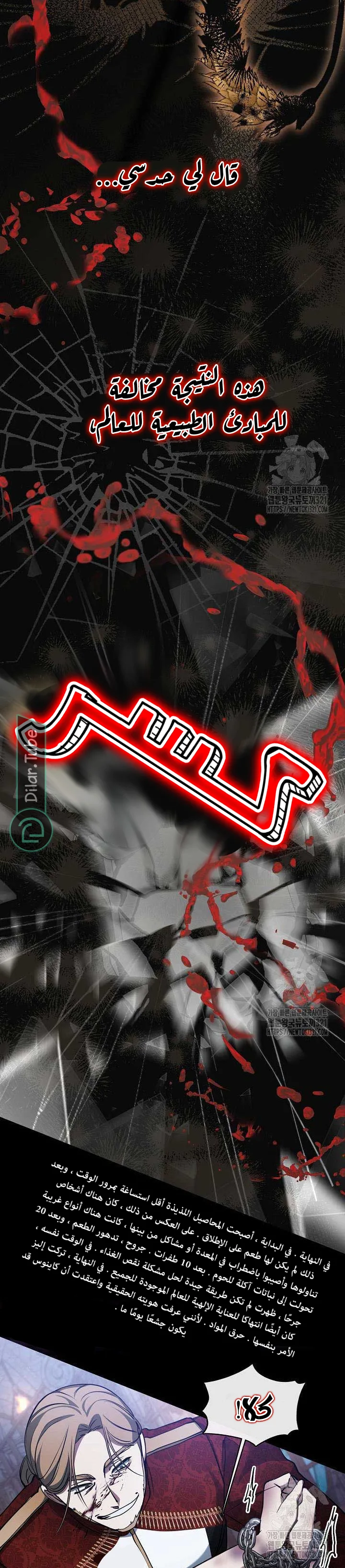 الصفحة 12