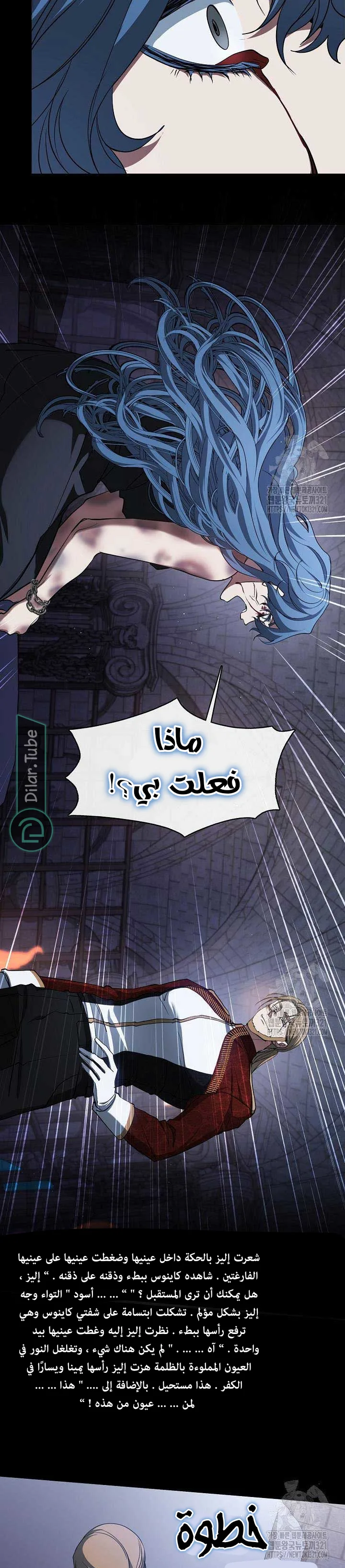 الصفحة 17