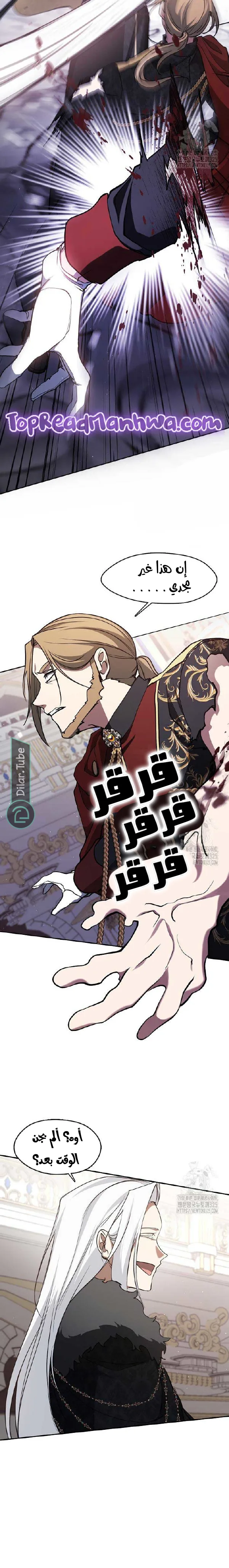 الصفحة 13
