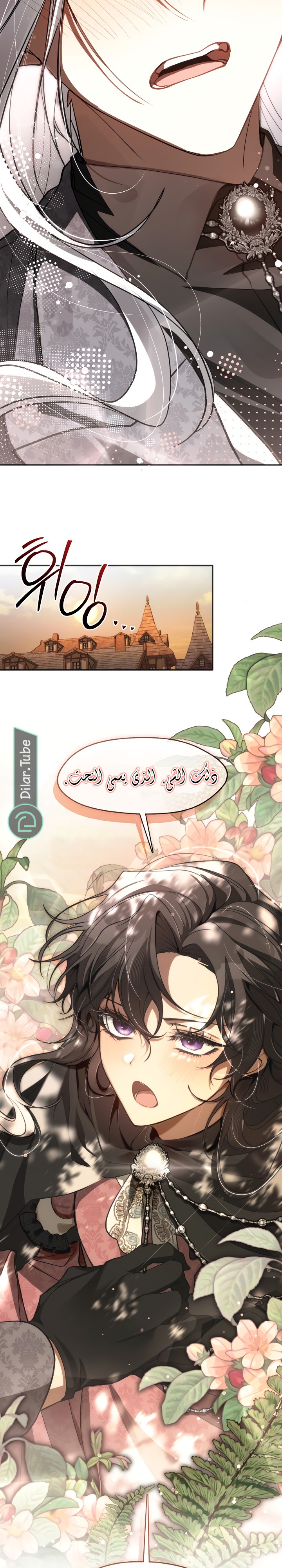 الصفحة 22