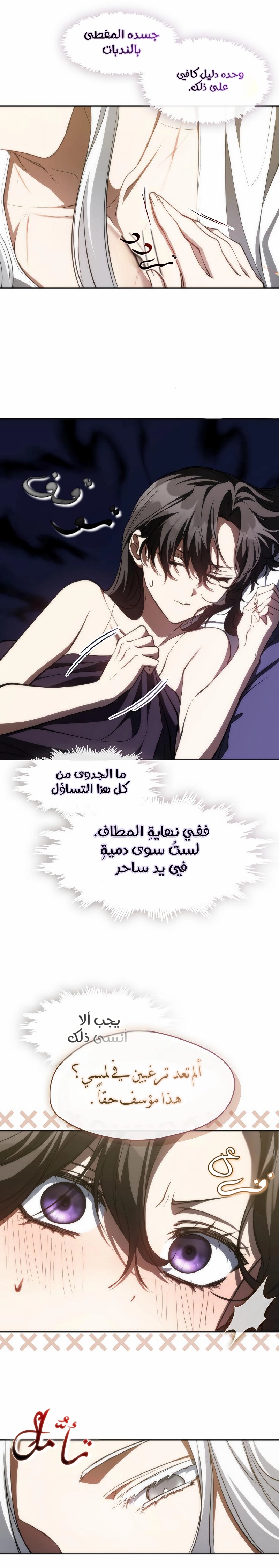 الصفحة 11