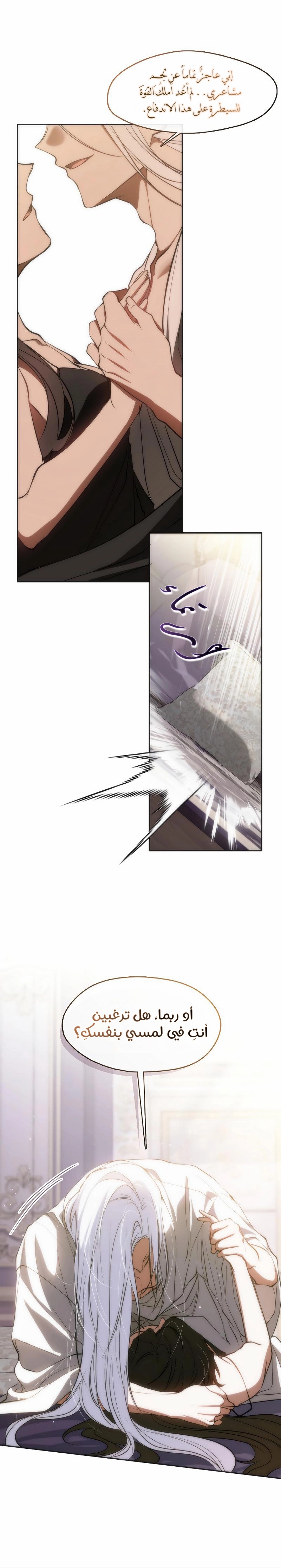 الصفحة 13