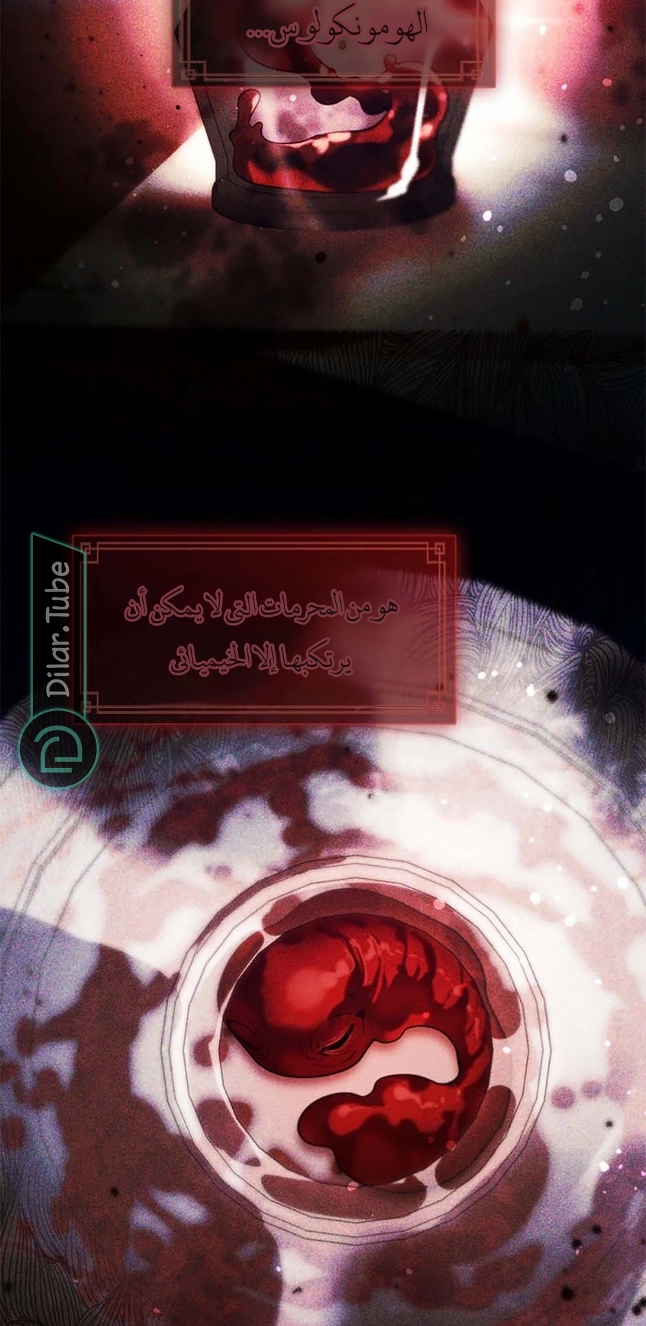 الصفحة 17