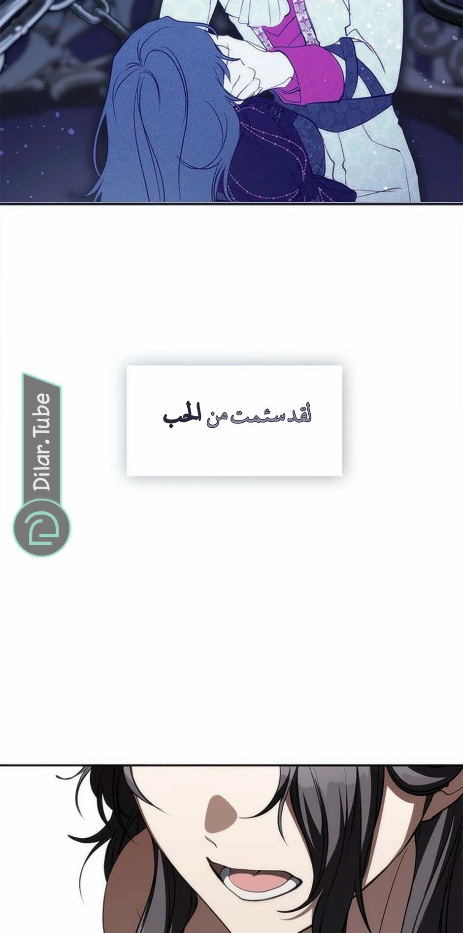 الصفحة 13