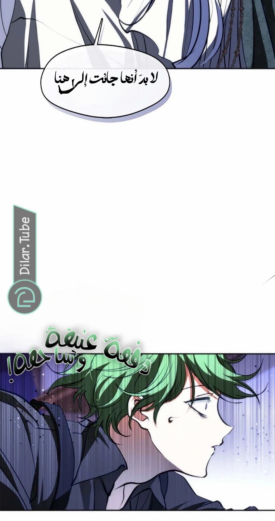 الصفحة 13