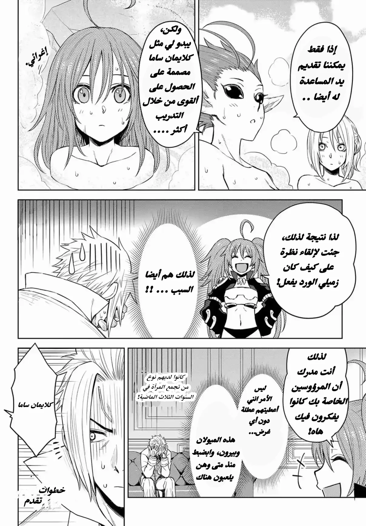 الصفحة 17