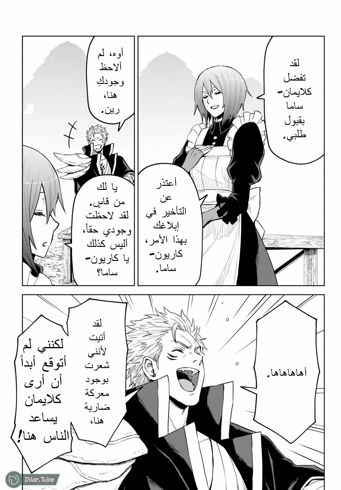 الصفحة 17
