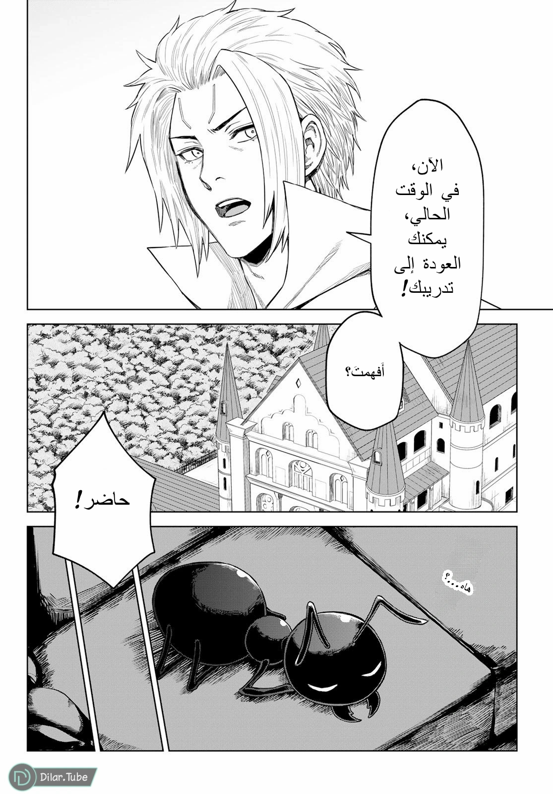 الصفحة 17