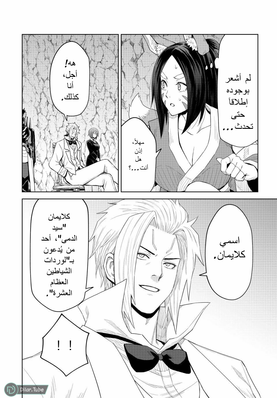 الصفحة 11