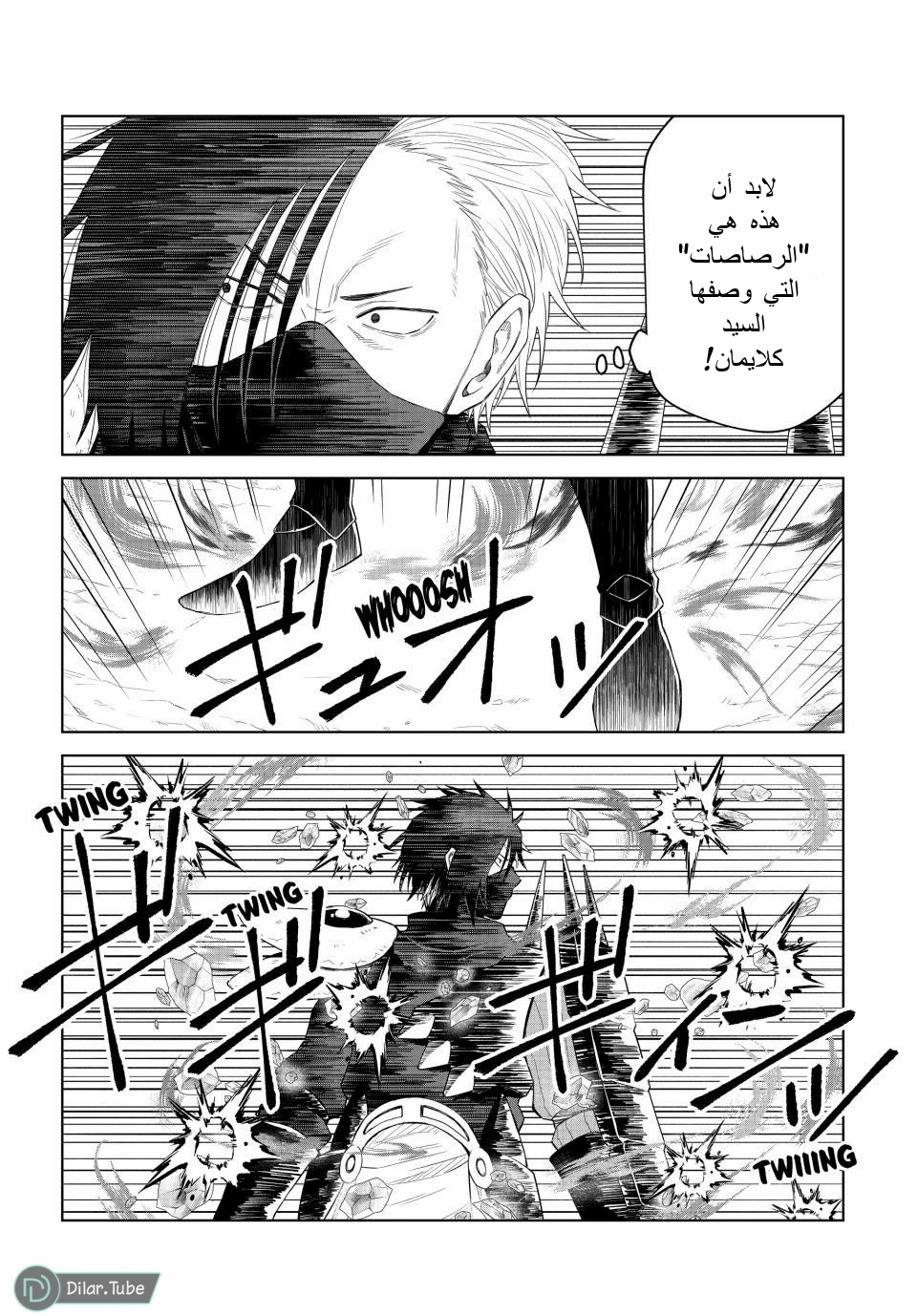 الصفحة 14