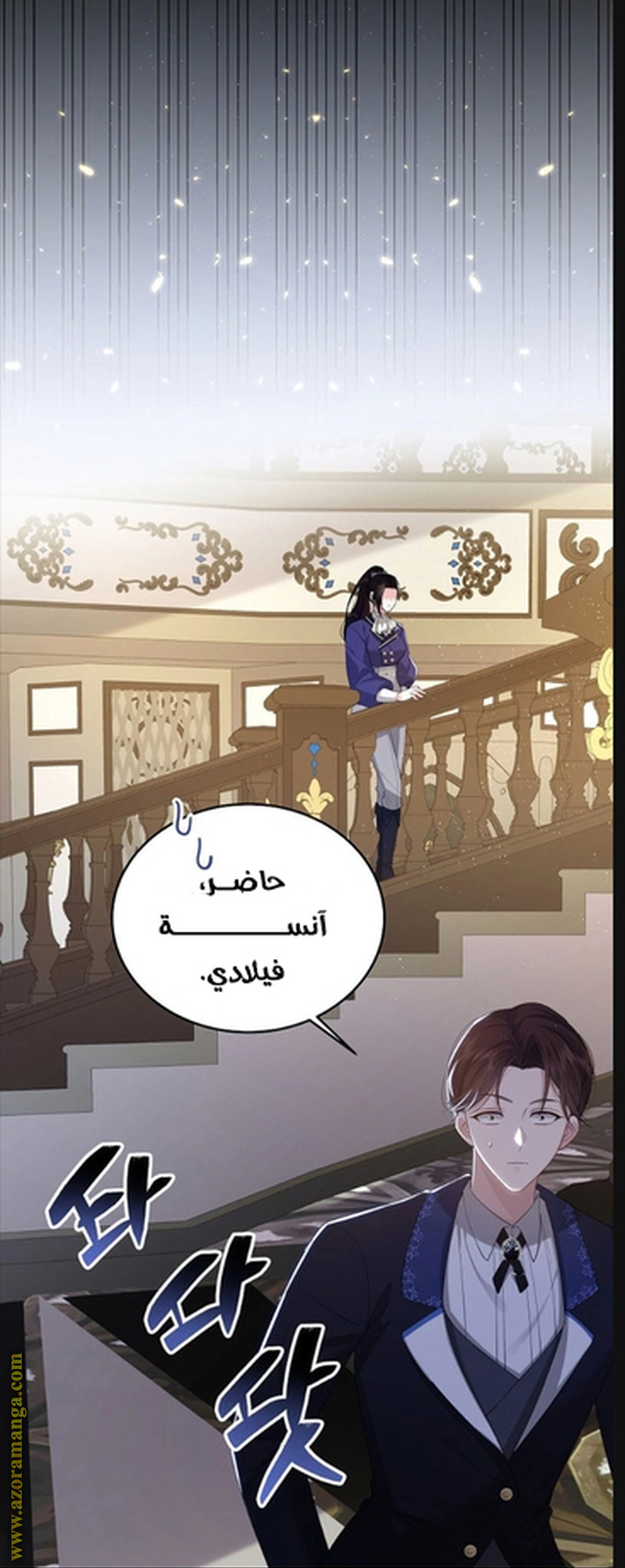 الصفحة 17
