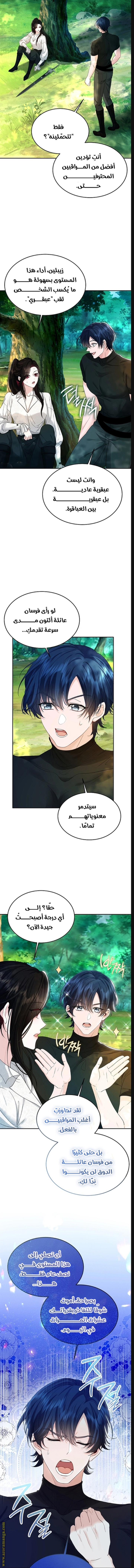 الصفحة 17