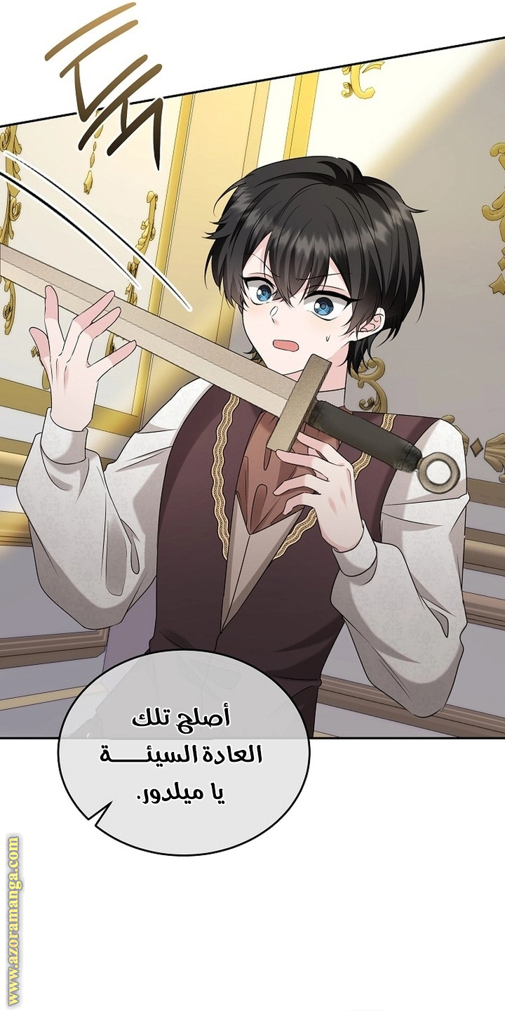 الصفحة 49