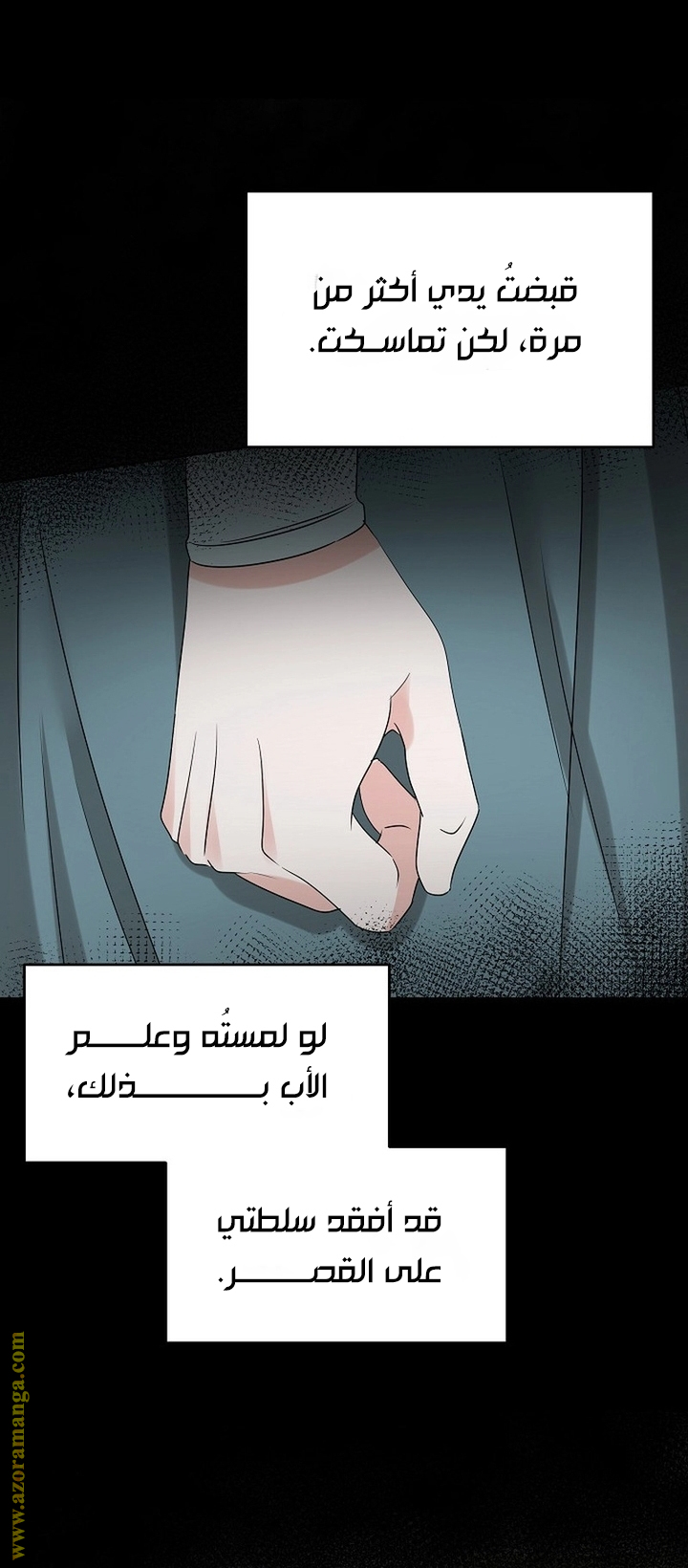 الصفحة 61