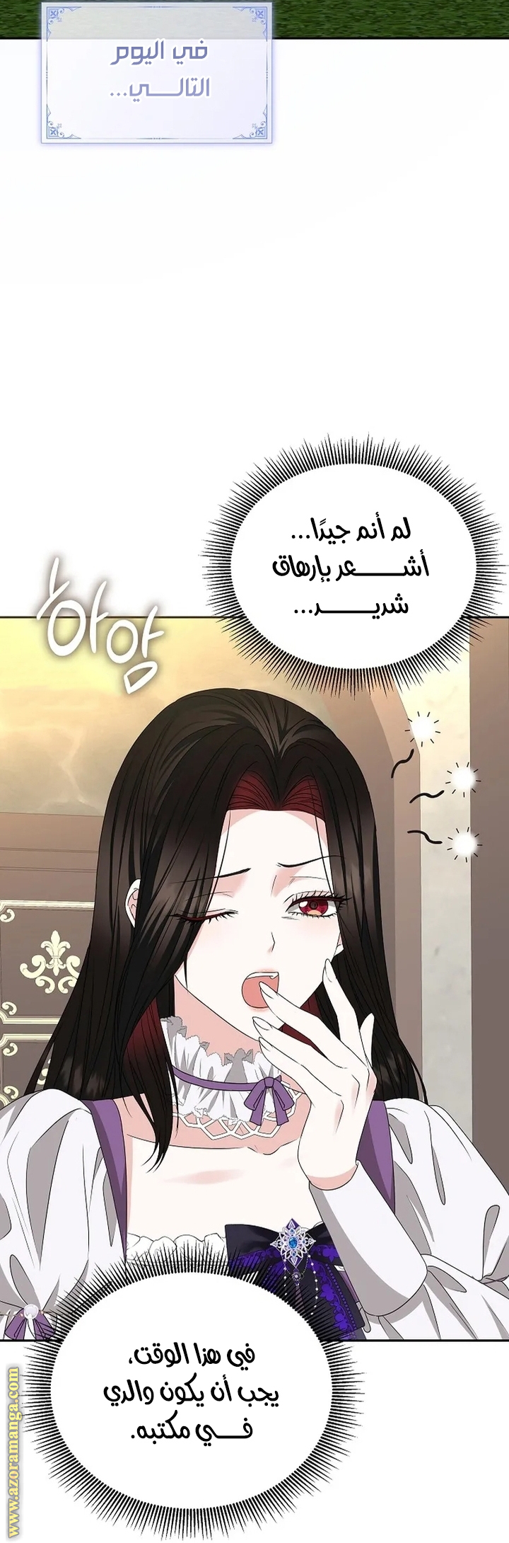 الصفحة 17