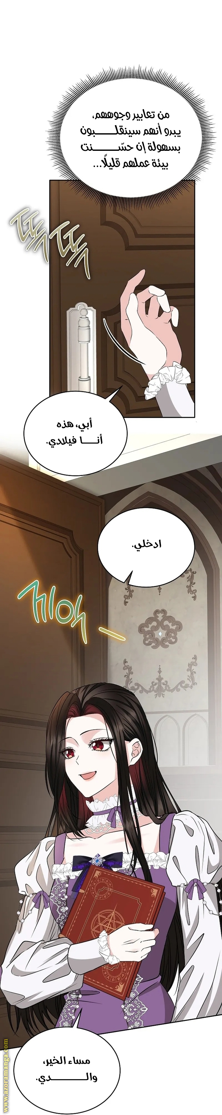 الصفحة 27