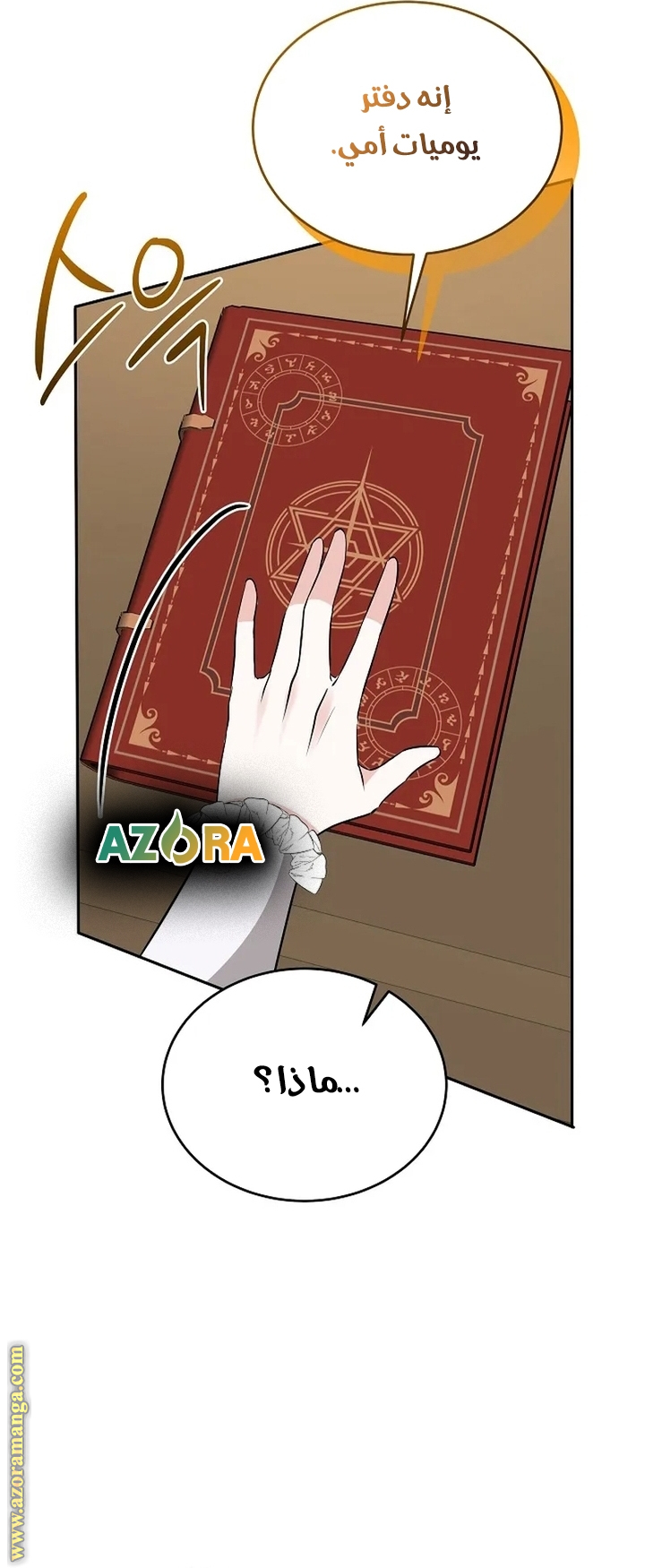 الصفحة 29