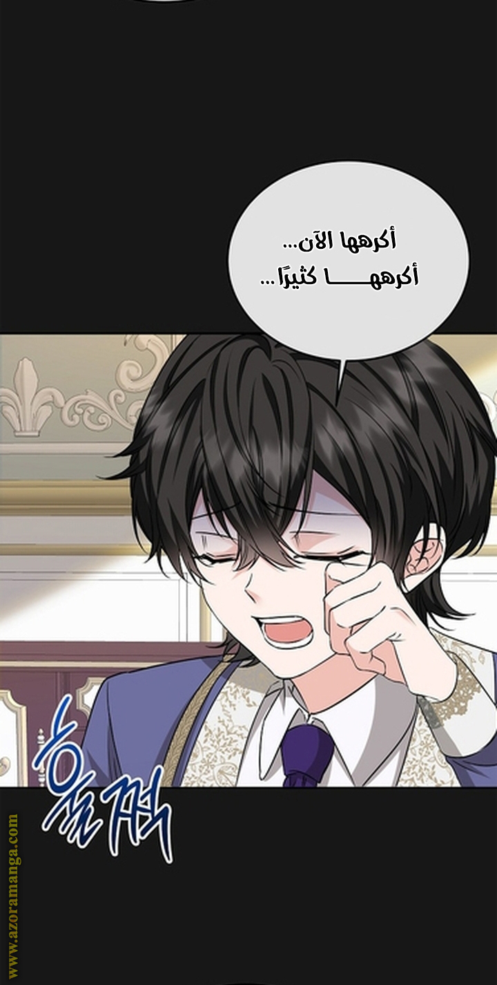 الصفحة 27