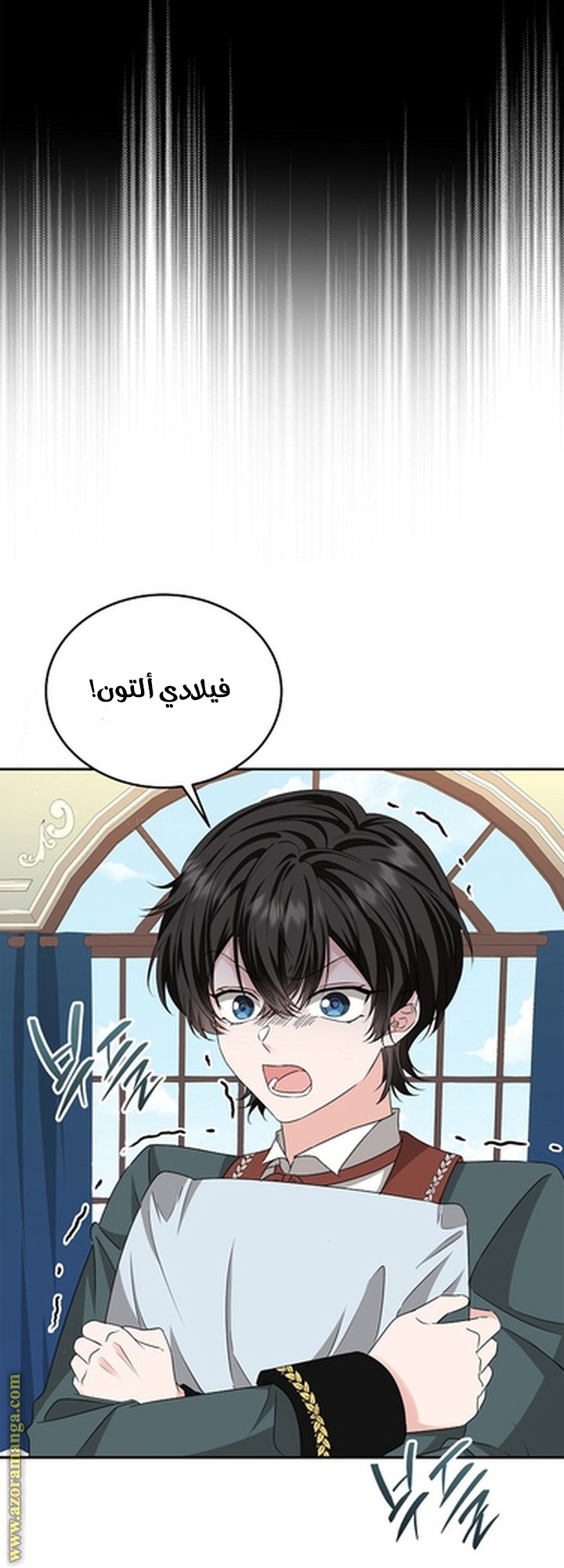الصفحة 29