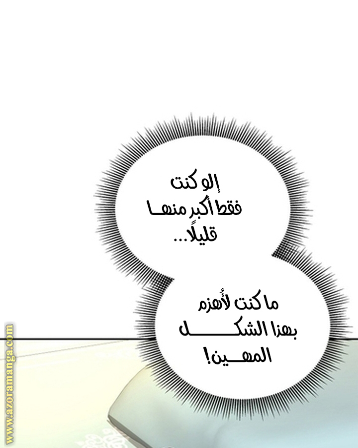 الصفحة 43