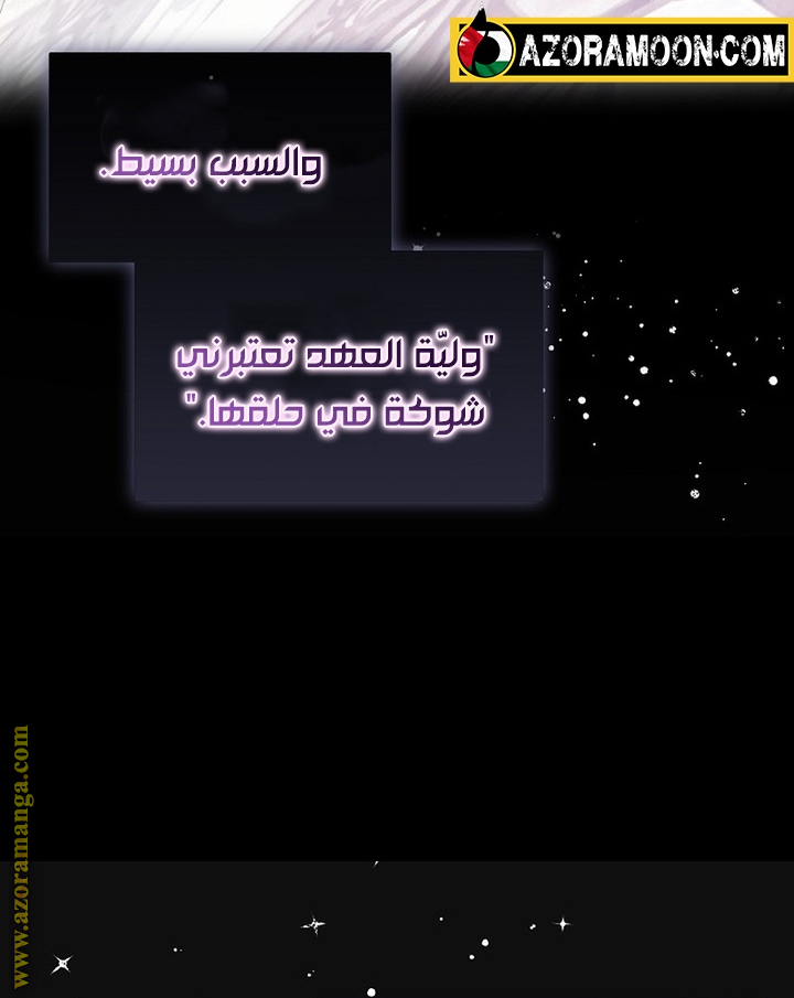 الصفحة 46