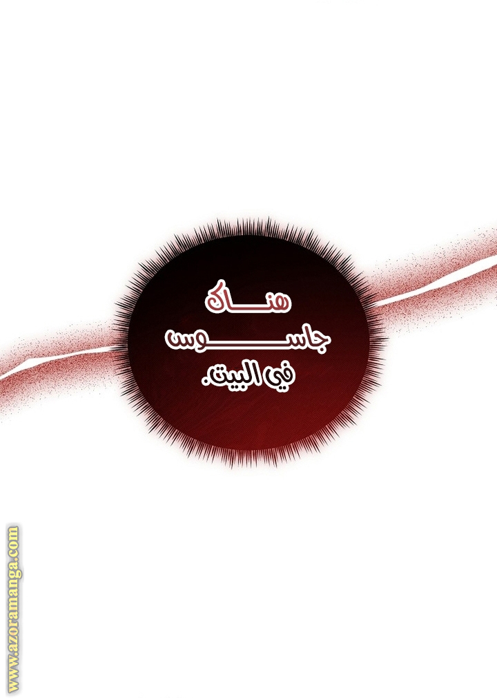 الصفحة 20