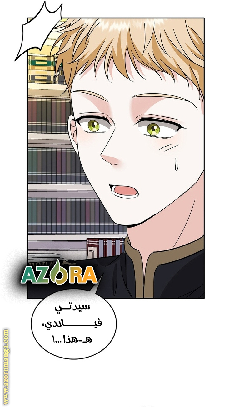 الصفحة 29