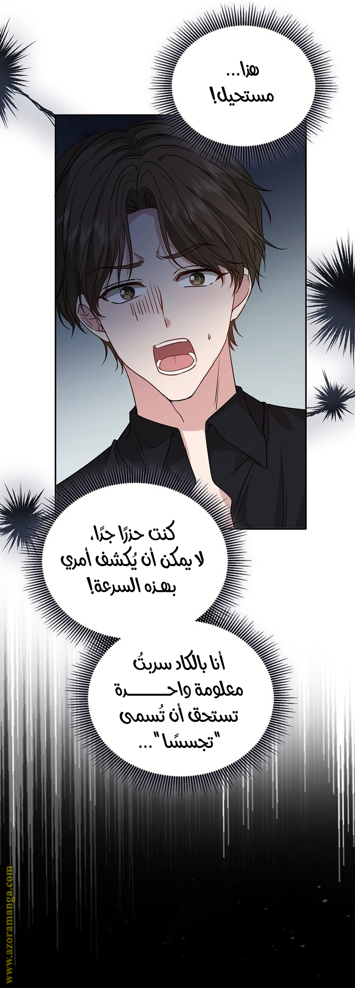 الصفحة 48