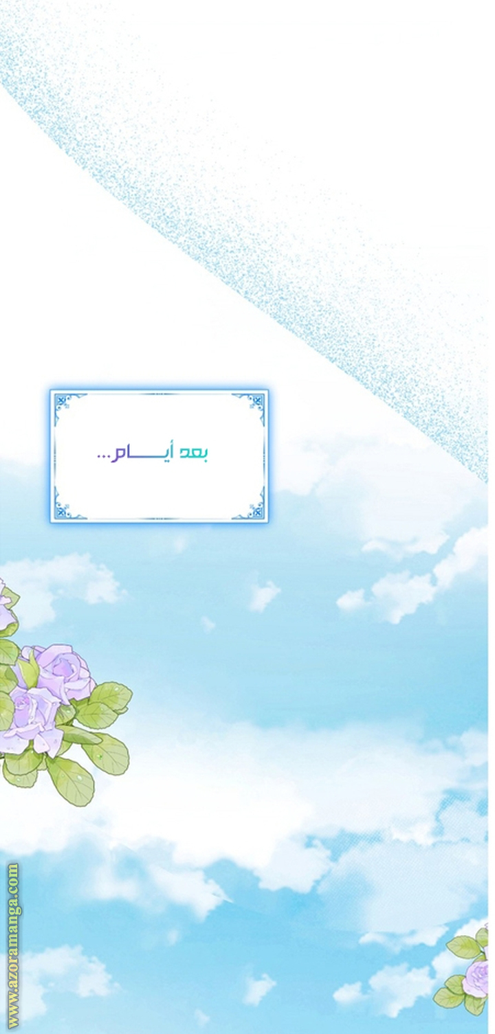 الصفحة 49