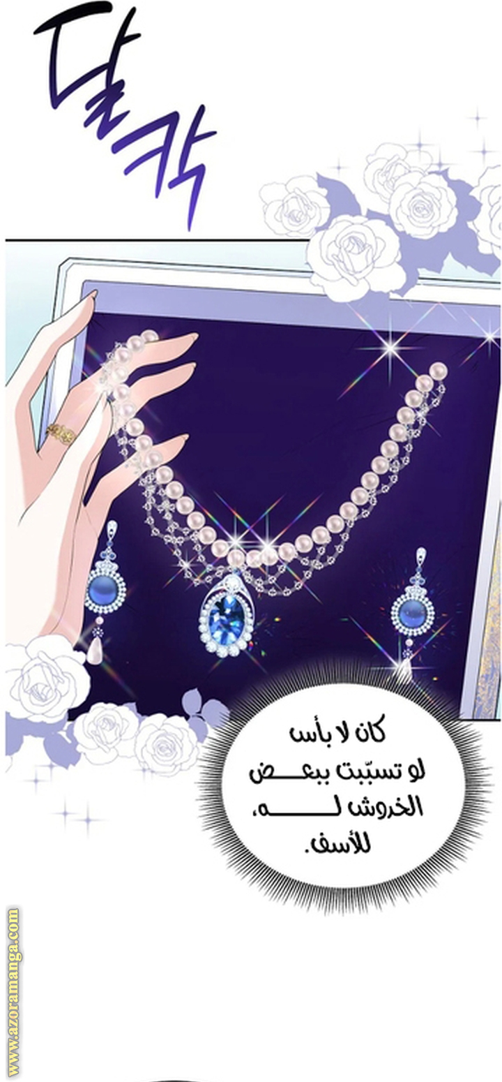 الصفحة 30