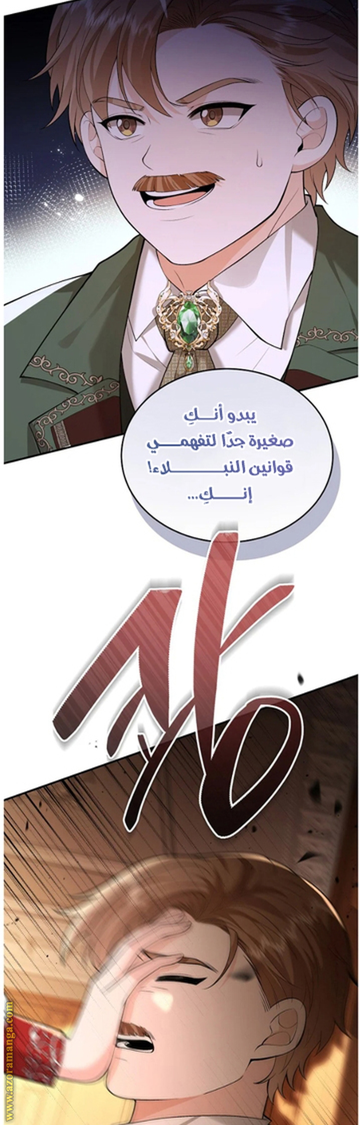 الصفحة 48