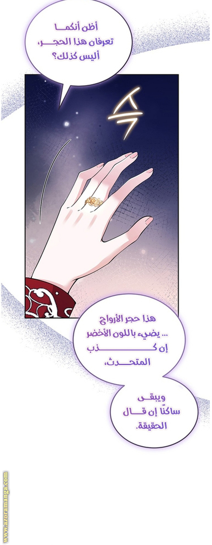 الصفحة 17