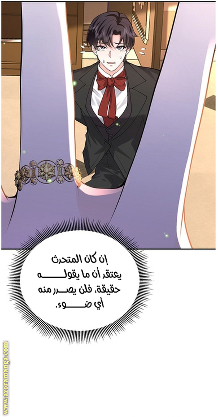 الصفحة 29