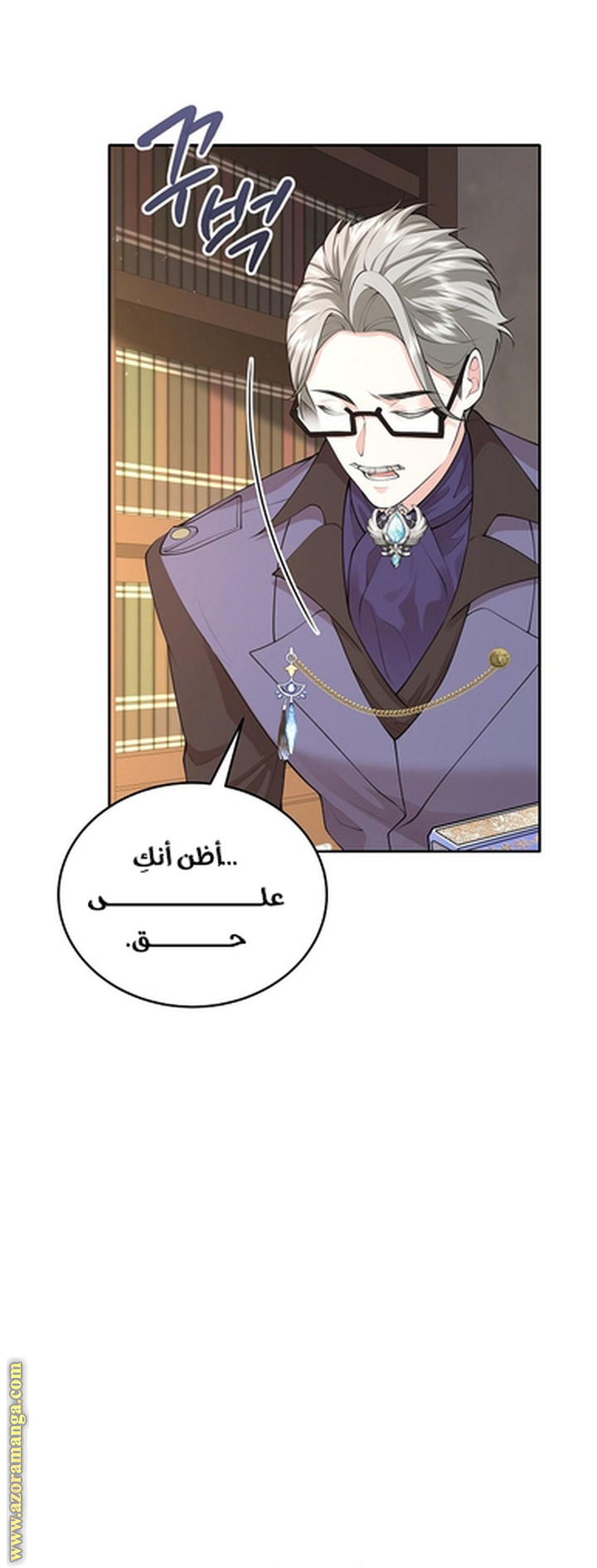 الصفحة 41