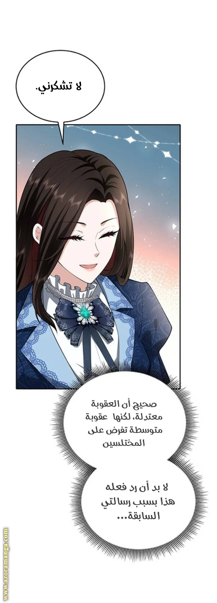 الصفحة 43