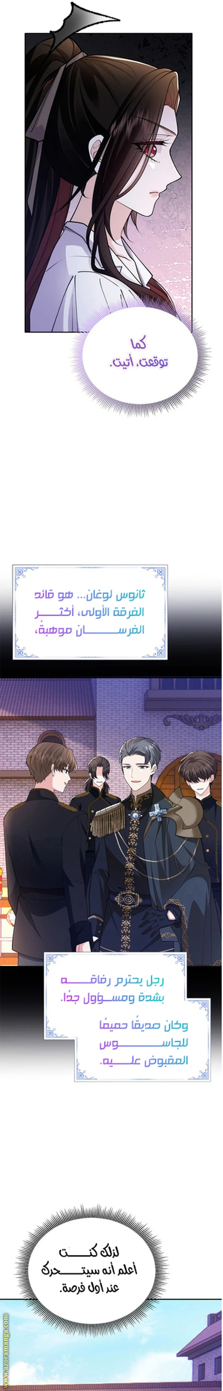 الصفحة 17