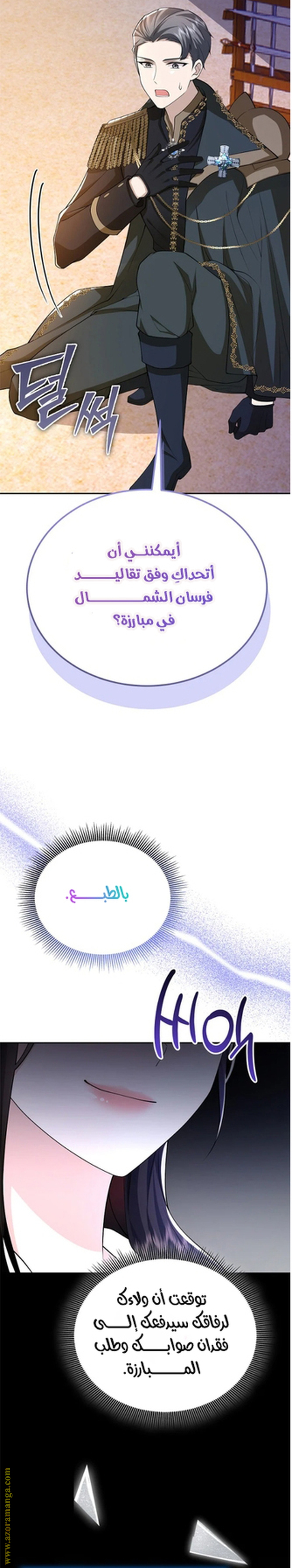 الصفحة 24