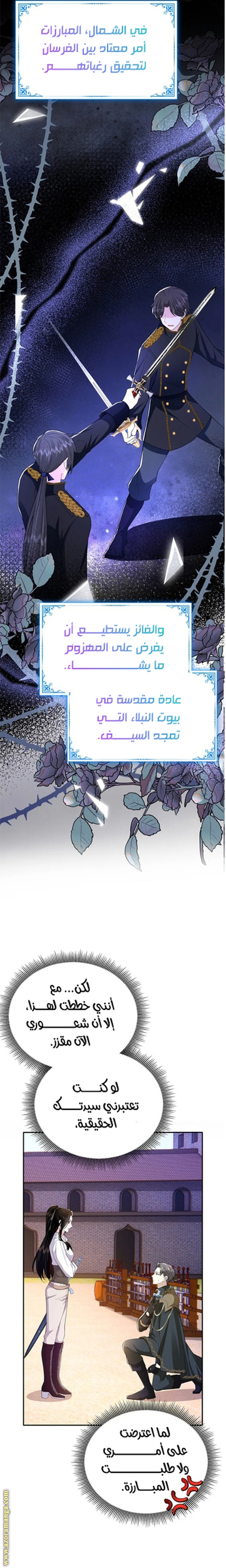 الصفحة 25