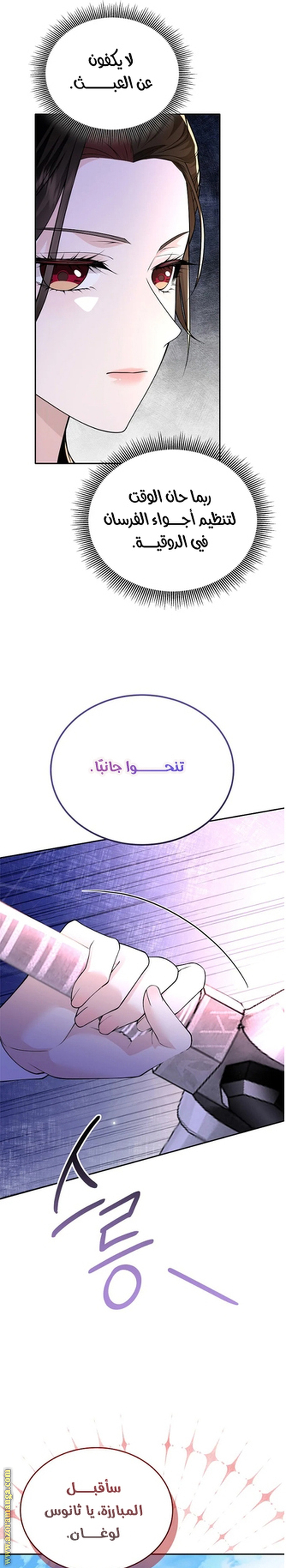 الصفحة 27
