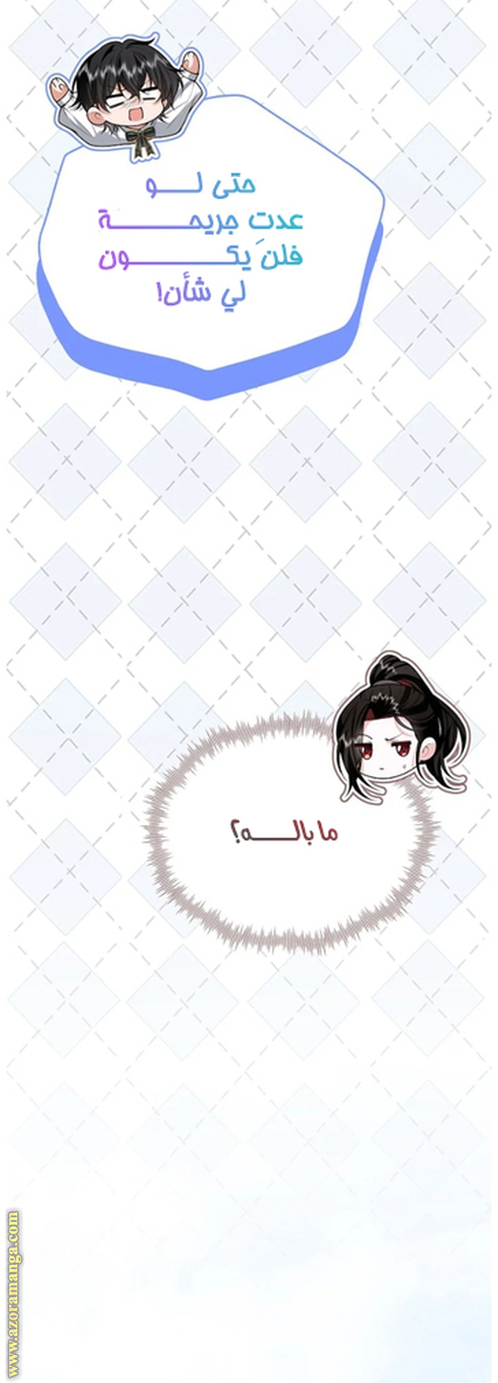 الصفحة 22