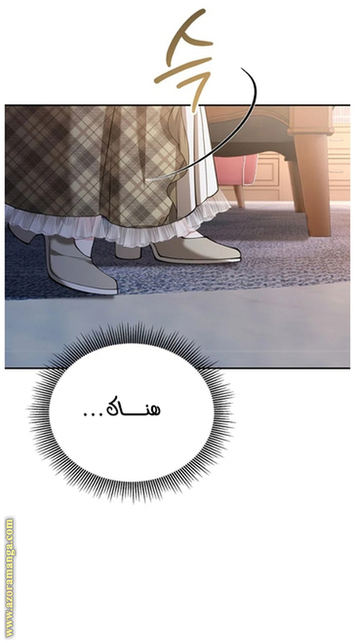 الصفحة 29