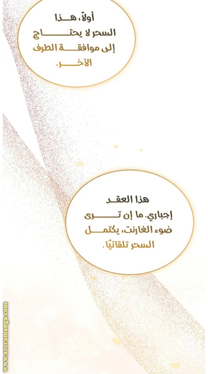 الصفحة 47