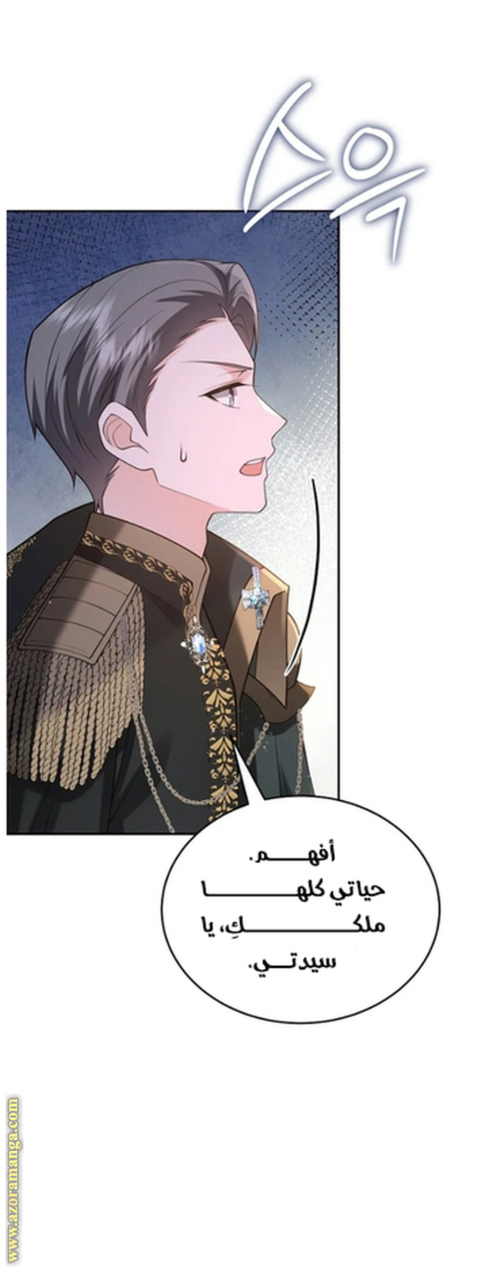 الصفحة 53