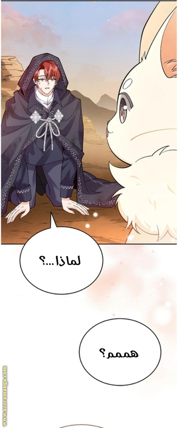 الصفحة 22