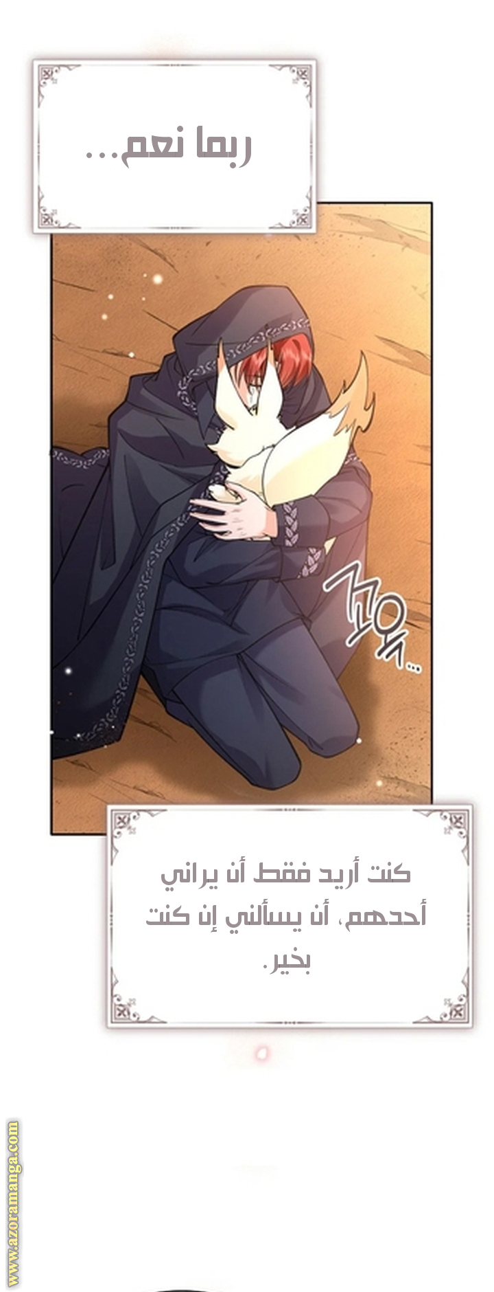 الصفحة 29