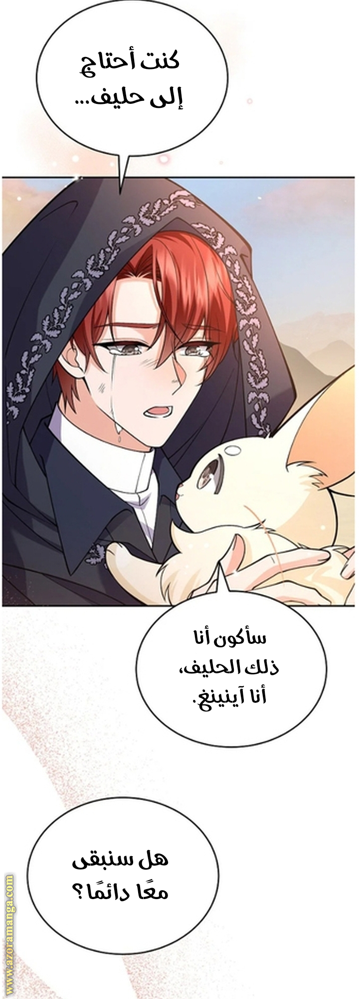الصفحة 30